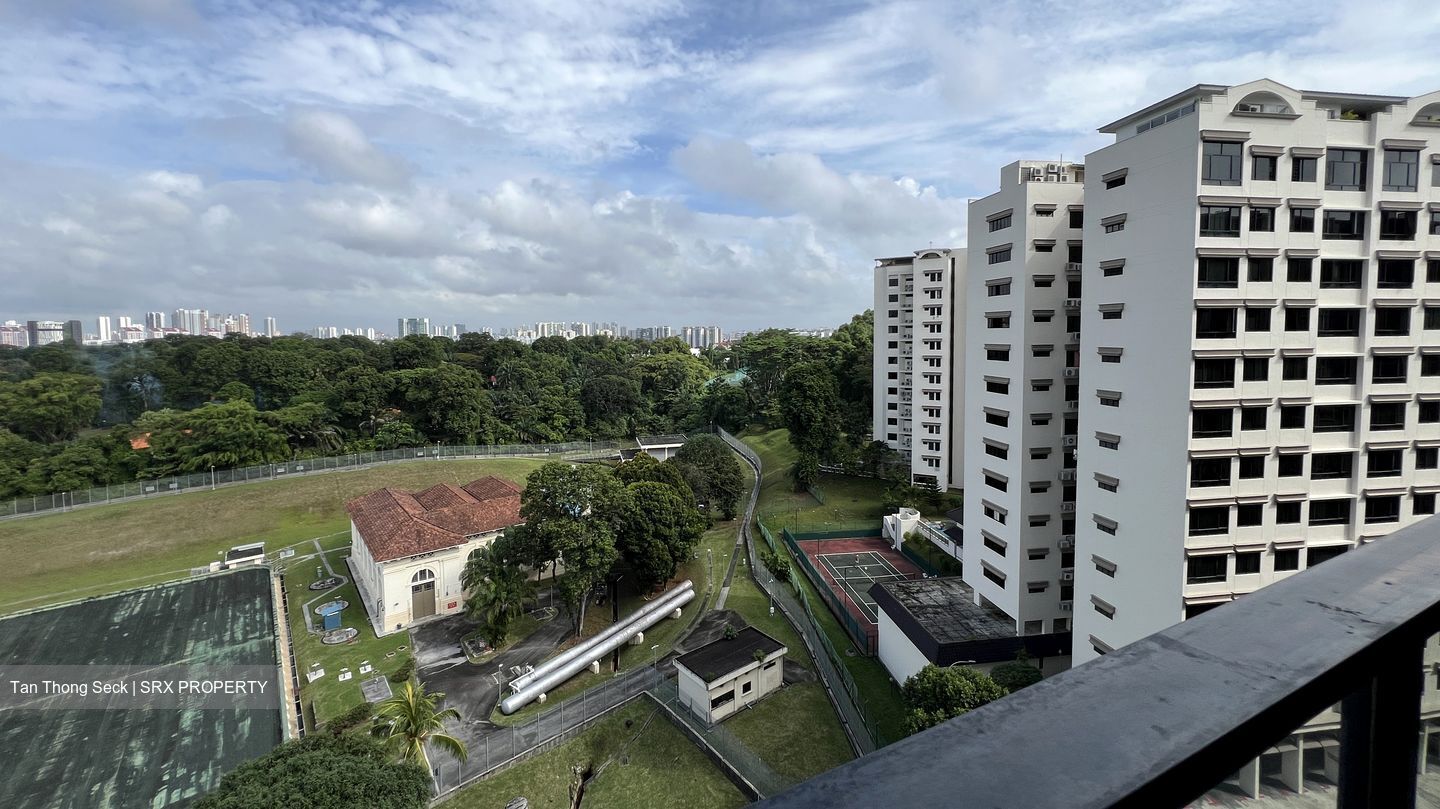 Park Colonial (D13), Condominium #556147621